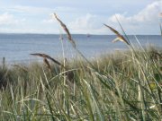 Klicken Sie auf das Bild, um es in einer hheren Auflsung zu betrachten.